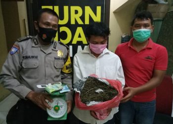 Setengah Kilo Ganja Ditemukan di Rusunawa