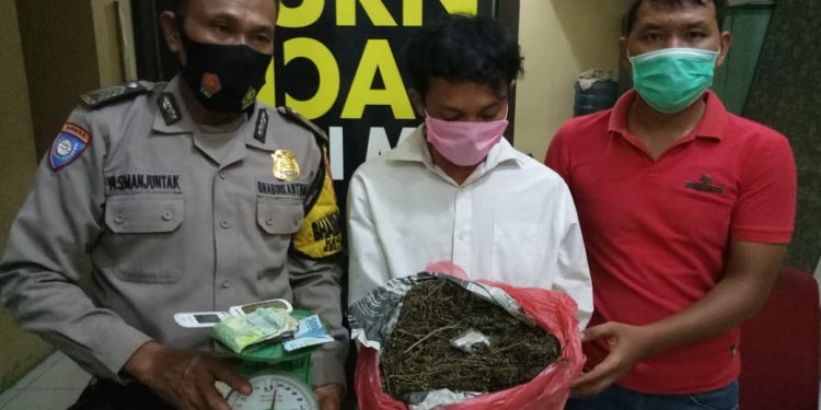 Setengah Kilo Ganja Ditemukan di Rusunawa