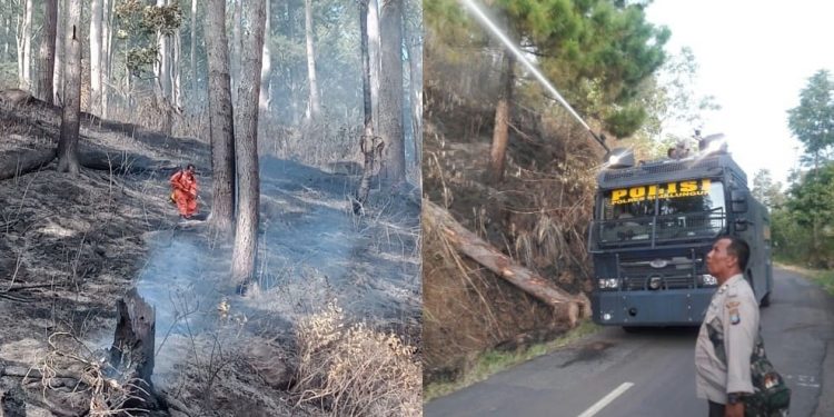 Polres Simalungun Turunkan Water Canon Atasi Kebakaran Hutan di Pebukitan Danau Toba Polres Simalungun Turunkan Water Canon Atasi Kebakaran Hutan di Pebukitan Danau Toba