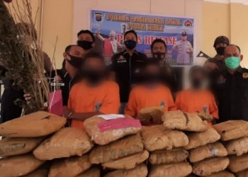 D Boru Lubis dan Anaknya Ditangkap dalam Kasus Kepemilikan 31 Bal Ganja