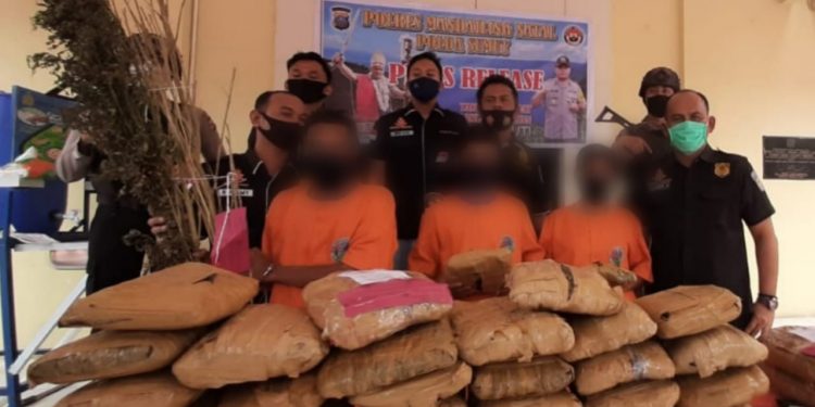 D Boru Lubis dan Anaknya Ditangkap dalam Kasus Kepemilikan 31 Bal Ganja D Boru Lubis dan Anaknya Ditangkap dalam Kasus Kepemilikan 31 Bal Ganja