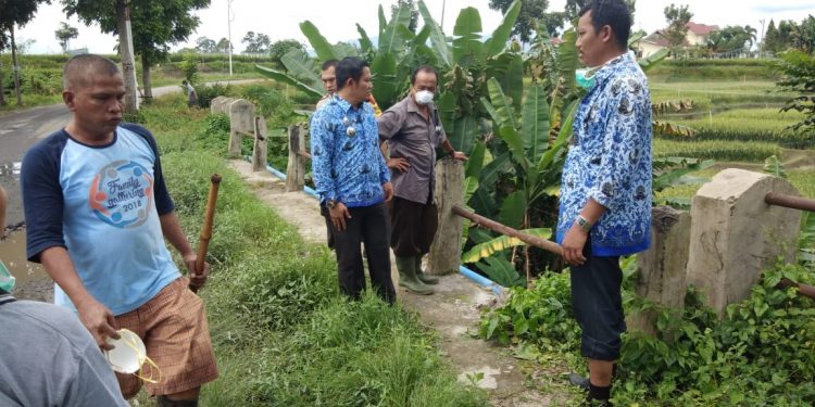 Pasca Pembuangan Bangkai Babi di Sungai, Pemko Siantar Data dan Semprot Peternakan Babi Pasca Pembuangan Bangkai Babi di Sungai, Pemko Siantar Data dan Semprot Peternakan Babi
