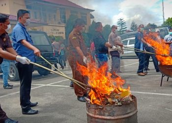 Kapolres Bakar Ganja Bersama Jaksa dan Hakim