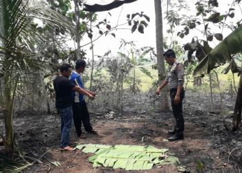 Bakar Sampah di Kebun, Seorang Kakek Tewas Terbakar