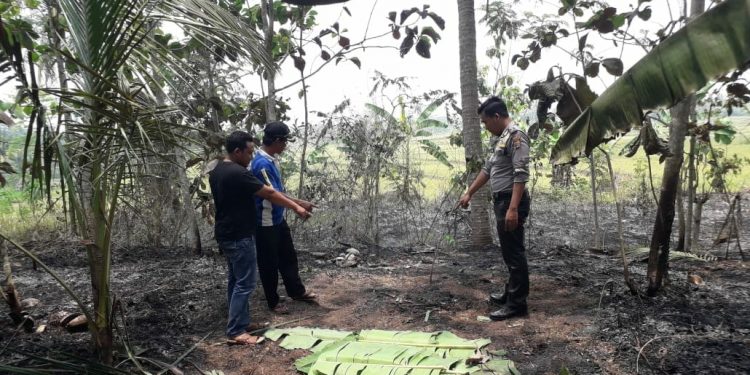 Bakar Sampah di Kebun, Seorang Kakek Tewas Terbakar Bakar Sampah di Kebun, Seorang Kakek Tewas Terbakar