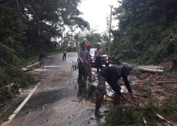 Banjir dan Longsor Menimpa Sejumlah Wilayah Tanggamus