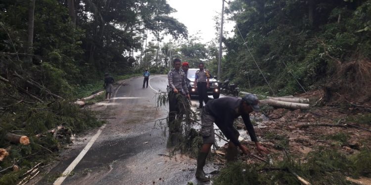 Banjir dan Longsor Menimpa Sejumlah Wilayah Tanggamus