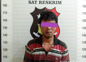 Bapak Cabuli Dua Anak Kandung Ditangkap Polres Tobasa dari Sidilkalang