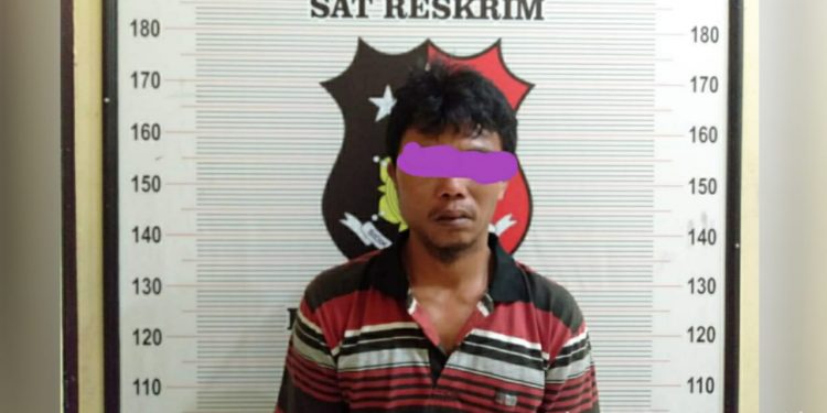 Bapak Cabuli Dua Anak Kandung Ditangkap Polres Tobasa dari Sidilkalang
