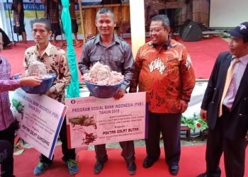 Bank Indonesia Dongkrak Pertumbuhan Ekonomi Lewat Sentra Pertanian di Danau Toba