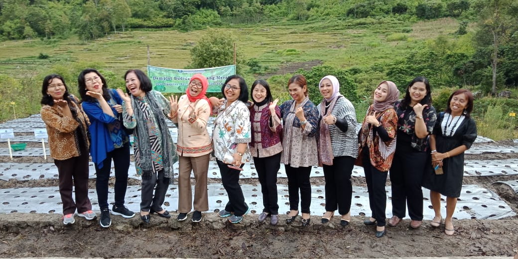 Bank Indonesia Dongkrak Pertumbuhan Ekonomi Lewat Sentra Pertanian di Danau Toba Bank Indonesia Dongkrak Pertumbuhan Ekonomi Lewat Sentra Pertanian di Danau Toba