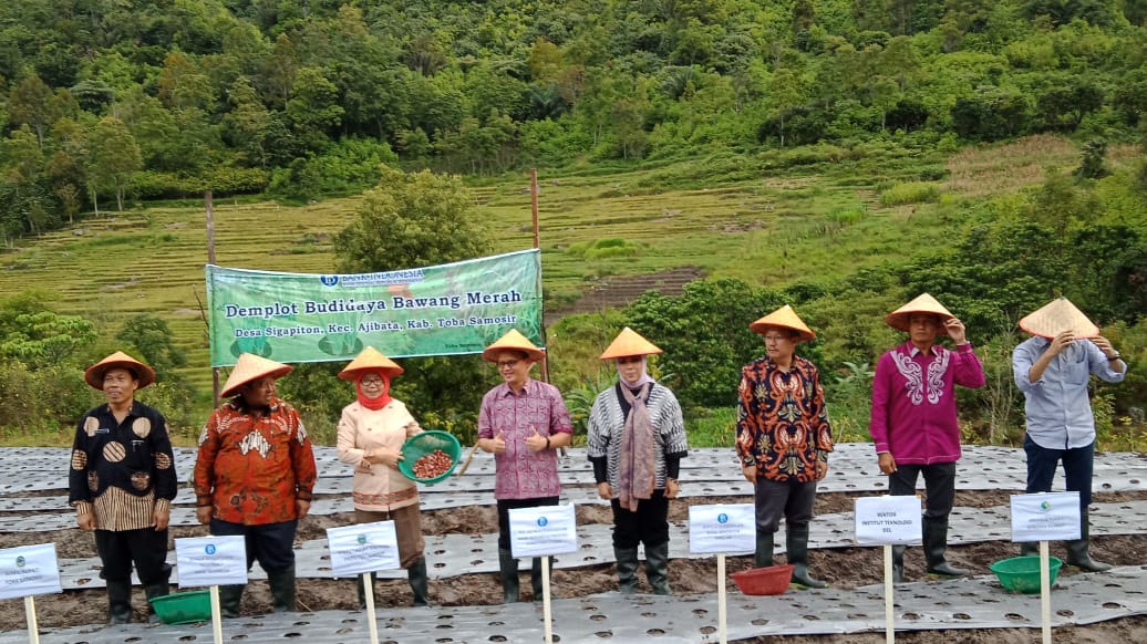 Bank Indonesia Dongkrak Pertumbuhan Ekonomi Lewat Sentra Pertanian di Danau Toba Bank Indonesia Dongkrak Pertumbuhan Ekonomi Lewat Sentra Pertanian di Danau Toba