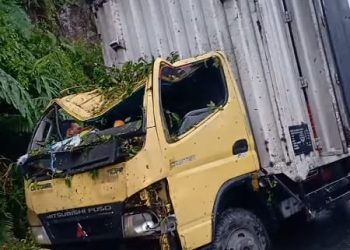 Mobil Boks Tertimpa Longsoran Batang Pohon di Jalan Doloksanggul-Pakkat