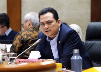Martin Manurung Minta Sandiaga Uno Percepat Visi Presiden Terkait Danau Toba