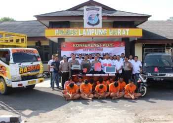 Polisi Bengkunat Menangkap 5 Pelaku Pencuri 65 Ekor Sapi di 24 TKP di Pesisir Barat