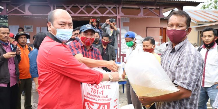 Perkuat Ketahanan Pangan, Bupati Taput Kembali Bagikan Bibit Padi dan Jagung Serta Benih ikan Perkuat Ketahanan Pangan, Bupati Taput Kembali Bagikan Bibit Padi dan Jagung Serta Benih ikan