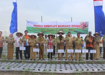 Bank Indonesia Pematangsiantar Resmikan Pembentukan Klaster Bawang Merah di Batubara