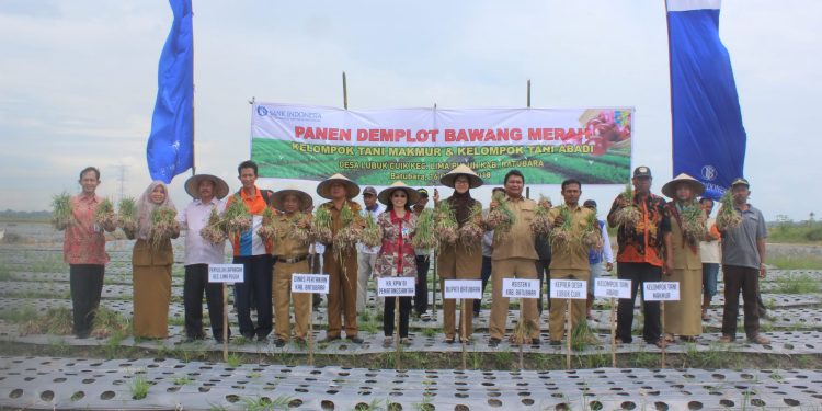 Bank Indonesia Pematangsiantar Resmikan Pembentukan Klaster Bawang Merah di Batubara Bank Indonesia Pematangsiantar Resmikan Pembentukan Klaster Bawang Merah di Batubara