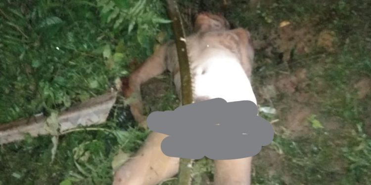 Sesosok Mayat Telanjang Ditemukan di Kebun Sawit, Diduga Korban Pembunuhan