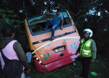 Tragis, Bus Pariwisata Anak Taman Kanak-kanak Terjun ke Jurang