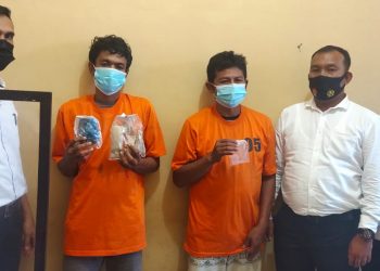Ecer 8 Kg Ganja di Paluta dan 2 Kg di Rantauprapat, Ditangkap saat Kemasi Paket Ganja