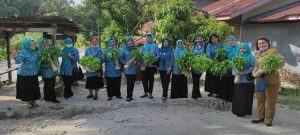 Dukung Program Ketahanan Pangan Nasional di Tengah Pandemi, TP PKK Pondok Sayur Galakkan Pertanian Sayur Hidroponik di Siantar