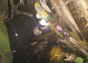 Lima Hari Menghilang, Candra Sinaga Ditemukan Tewas di Saluran Irigasi
