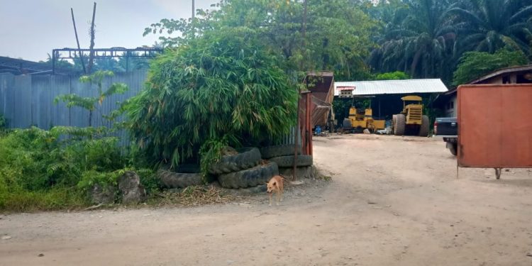 Dituding  Sudah 9 Tahun Gudang Truk tanpa IMB, Ci Kok Membantah