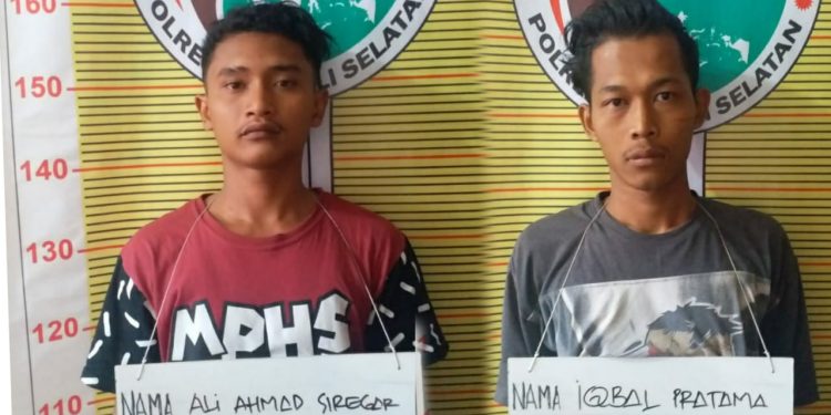 Ali Siregar dan Temannya Ditangkap Bawa Ganja