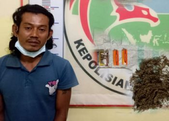 Simpan Ganja Dalam Goni, Wanto Tarigan Diringkus Polres Dairi