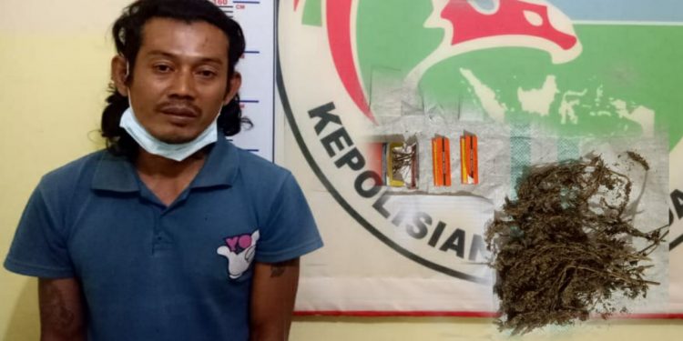 Simpan Ganja Dalam Goni, Wanto Tarigan Diringkus Polres Dairi