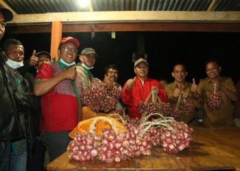 Bupati Taput Apresiasi Hasil Panen Bawang Merah Poktan Parbagotan Hutaginjang