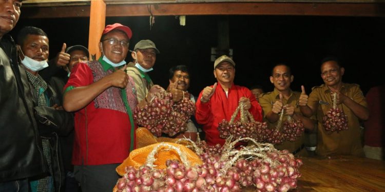 Bupati Taput Apresiasi Hasil Panen Bawang Merah Poktan Parbagotan Hutaginjang Bupati Taput Apresiasi Hasil Panen Bawang Merah Poktan Parbagotan Hutaginjang