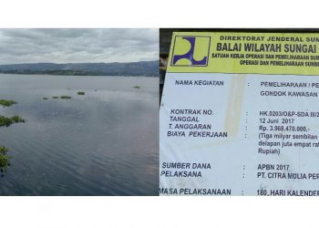 Miris! Pembersihan Tumbuhan di Sekitar Perairan Danau Toba Telan Dana Rp 4 M. Faktanya Bikin Geram...