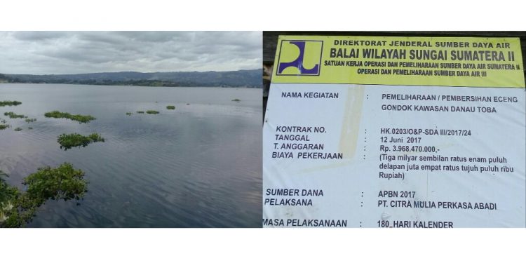 Miris! Pembersihan Tumbuhan di Sekitar Perairan Danau Toba Telan Dana Rp 4 M. Faktanya Bikin Geram... Miris! Pembersihan Tumbuhan di Sekitar Perairan Danau Toba Telan Dana Rp 4 M. Faktanya Bikin Geram...