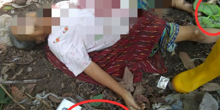 Tiurlen Boru Damanik, Wanita Berusia 65 Tahun Ditemukan Adiknya Tewas Berlumur Darah Tiurlen Boru Damanik, Wanita Berusia 65 Tahun Ditemukan Adiknya Tewas Berlumur Darah