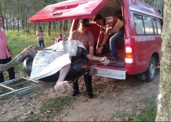  Penemuan Mayat Pria Tanpa Identitas di Sungai Bah Bolon Gemparkan Warga