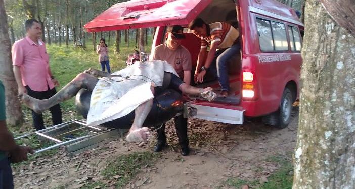 Penemuan Mayat Pria Tanpa Identitas di Sungai Bah Bolon Gemparkan Warga Penemuan Mayat Pria Tanpa Identitas di Sungai Bah Bolon Gemparkan Warga