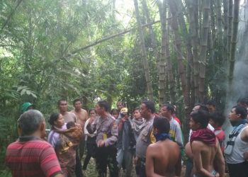 Enam Hari Menghilang, Luhut Aritonang Ketua KPPS di Tarutung ditemukan Tewas Tergantung