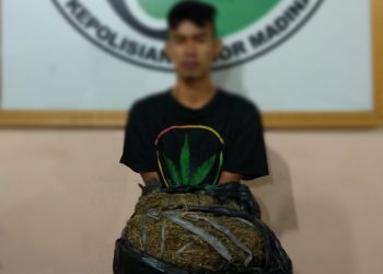 Endi Rangkuti Ditangkap Polres Madina dengan Dua Bal Ganja