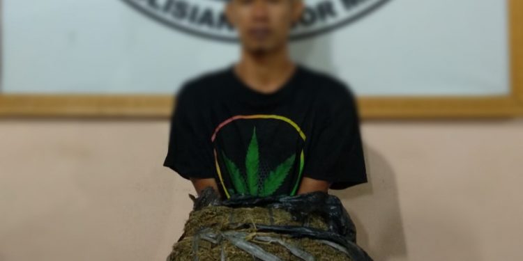 Endi Rangkuti Ditangkap Polres Madina dengan Dua Bal Ganja