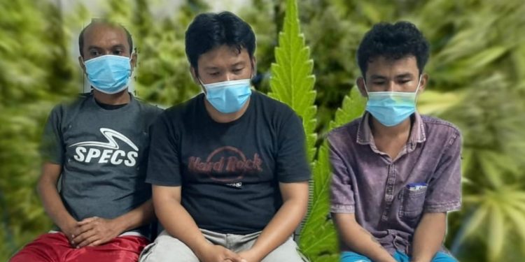 Warung Tuak di Jalan Bahkora Digrebek, Tiga Orang Diamankan Terkait Ganja