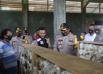 Kapolres Madina Hadiri Panen Perdana Budidaya Jamur Tiram Kelompok Tani Binaan Aipda Timbul Rahayu