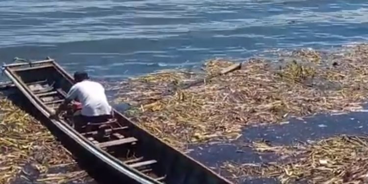Miris! Jelang Musim Libur Lebaran Idul Fitri 2018, Begini Kondisi Pantai Danau Toba di Parapat