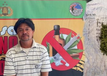 Parulian Sihombing Ditangkap dengan Barbut Secuil Daun Ganja