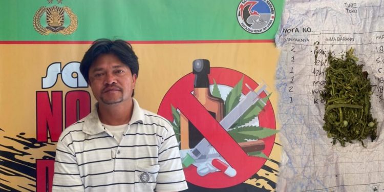 Parulian Sihombing Ditangkap dengan Barbut Secuil Daun Ganja Parulian Sihombing Ditangkap dengan Barbut Secuil Daun Ganja