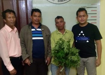 9 Batang Ganja Hantarkan Ferdinan Girsang Lewatkan Natal di Balik Jeruji Besi