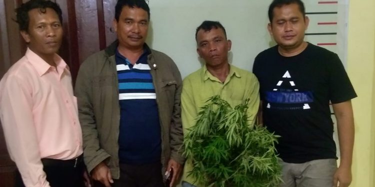 9 Batang Ganja Hantarkan Ferdinan Girsang Lewatkan Natal di Balik Jeruji Besi