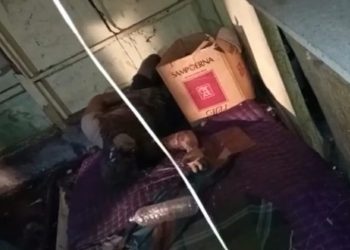 Seorang Pria Ditemukan Membusuk di Rumahnya