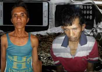 Pengecer dan Bandar Ganja Ditangkap Satres Narkoba Polres Pelabuhan Belawan